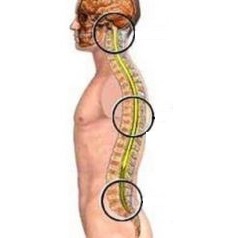 essence of lumbar spine osteochondrosis